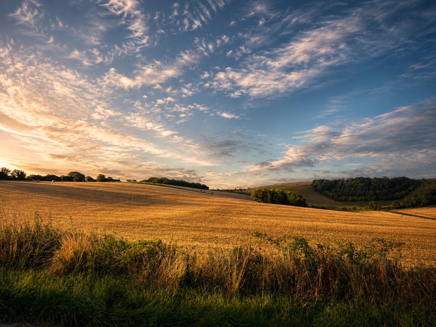 A Cotswold lane at golden hour