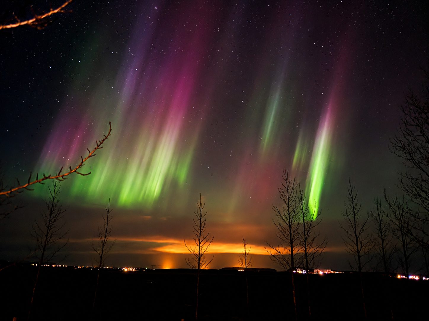 Iceland collection cover, aurora over winter trees