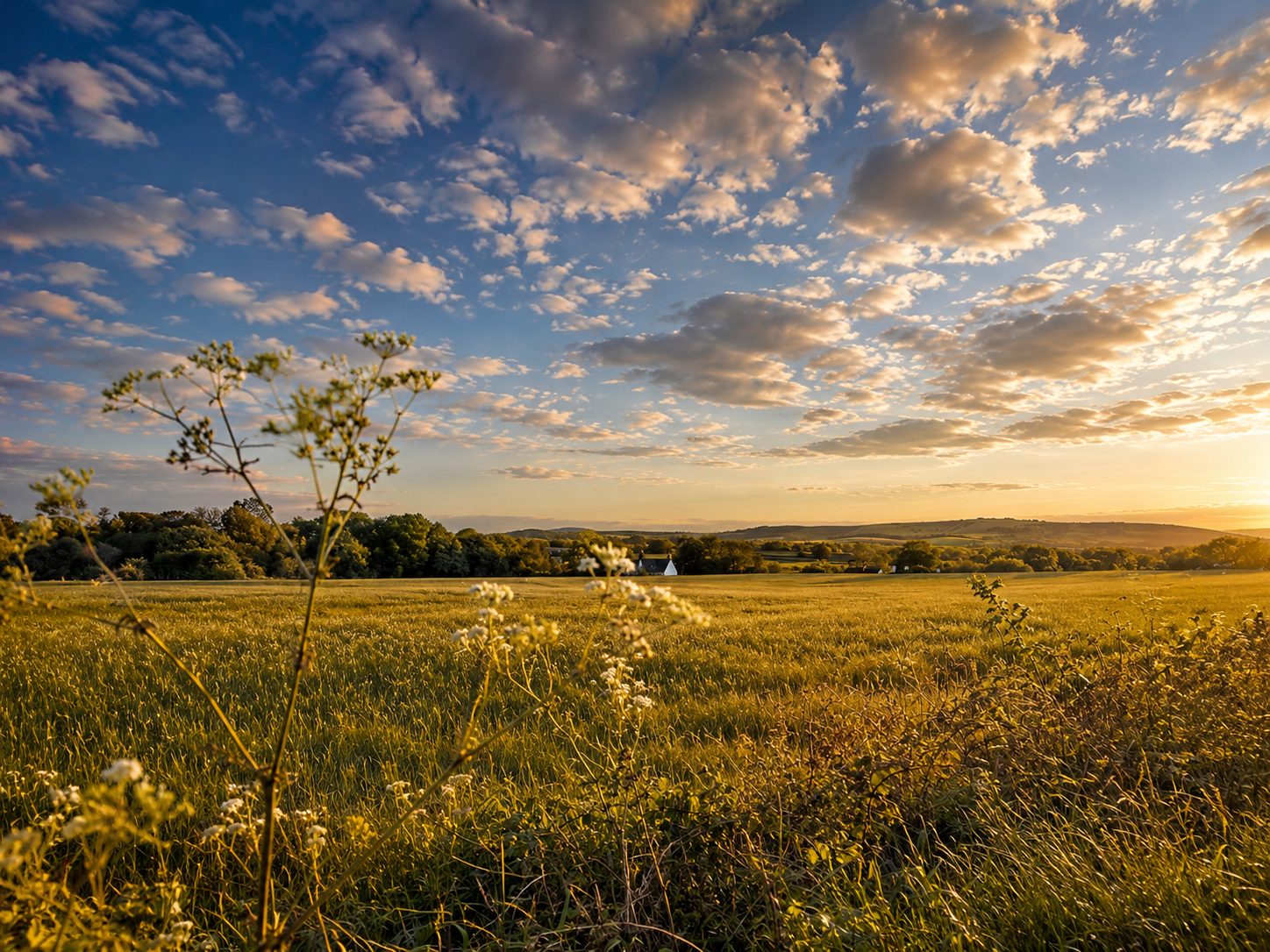 Harvest fields rolling towards the Downs under an evening sky