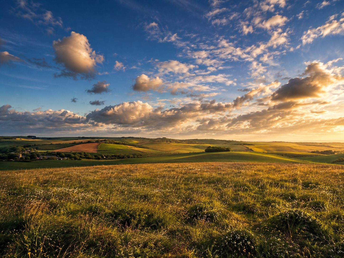 Golden meadow grass on the Downs with patchwork fields and evening cloud beyond